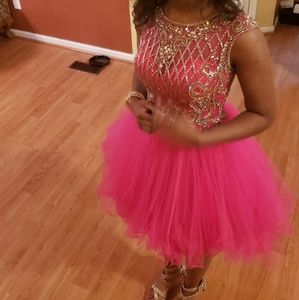 Pink and Gold Cupcake Dress